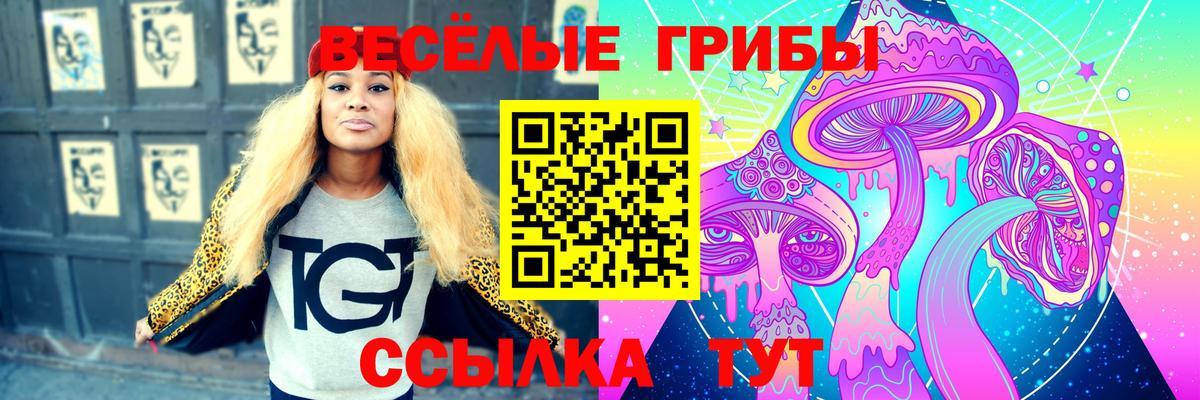 Псилоцибиновые грибы GOLDEN TEACHER Можайск